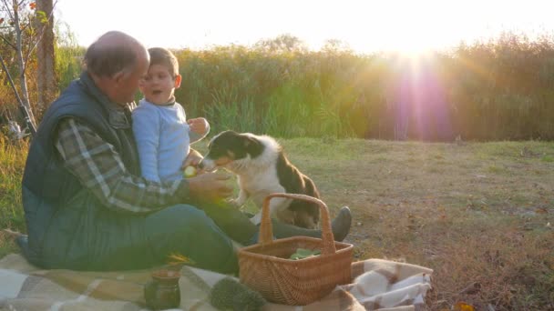 Lycklig barndom, barnbarn med farfar och hund vilar på naturen på våren picknick — Stockvideo