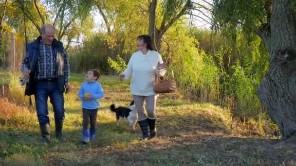 Tatilde mutlu bir aile, çocuklu bir çocuk ve evcil hayvan güneşli bir günde gölde balık tutmak için parkın karşısına geçerler. — Stok video