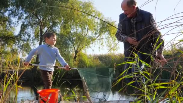 Vida de pescadores, menino com homem velho pegou grande carpa no lago na primavera dia ensolarado — Vídeo de Stock