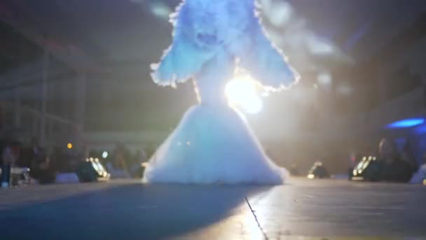 Великолепные женщины в платьях с перьями позируют на подиуме в свете ламп и дыма на показе мод — стоковое видео