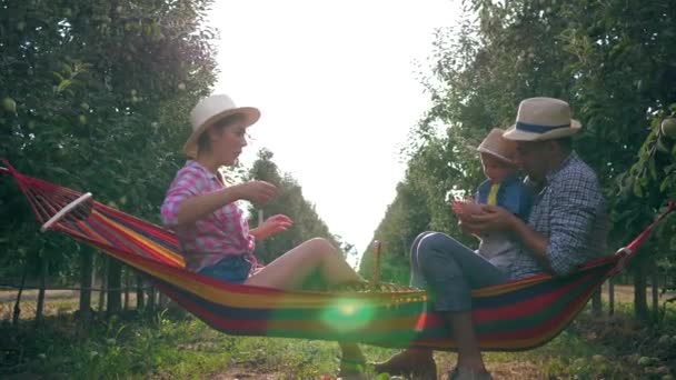 Familia en la hamaca lanza manzanas y disfrutar de la naturaleza en sombreros de paja en el hermoso jardín en el cálido día de verano — Vídeo de stock