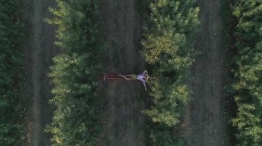 Elma bahçesinde bir sepet meyveyle hamakta uzanan tembel kız. Ağır çekimde ağır çekimde uçan dron.