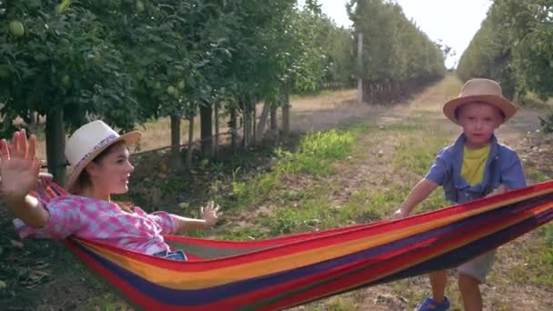 Semester i äppelträdgård, glad unge svänger sin mamma i en hängmatta mellan rader av gröna träd — Stockvideo