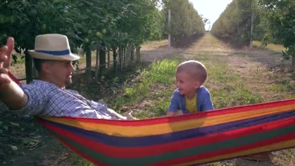 Merry child shakes his father in hammock near fruit basket at the apple garden, slow motion — Stock Video