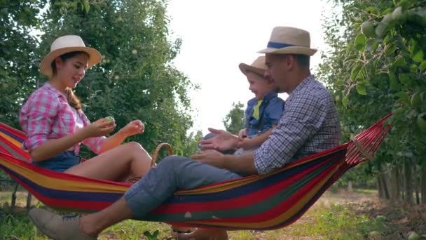 Verano, padres felices juegan con el niño pequeño en el jardín de manzana en la hamaca en la luz de fondo — Vídeos de Stock