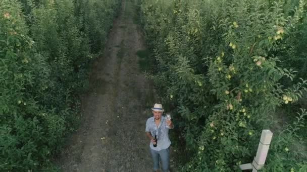 Agricultor levanta un vaso de bebida de manzana en el jardín, vista del dron sobre filas ordenadas de árboles frutales verdes — Vídeo de stock