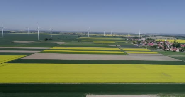Красочные сельскохозяйственные поля, посаженные в прямые ряды с ветряными турбинами возле деревни с домами — стоковое видео