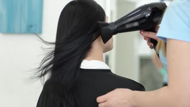 Péče o vlasy, holič s vysoušečem vlasů v rukou foukání teplý vzduch na hlavu klienta v beauty Studio — Stock video