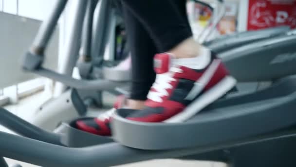 Entrenamiento cardiovascular, caminar en simuladores deportivos en el gimnasio — Vídeo de stock