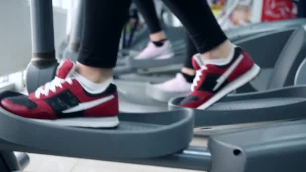 Entrenamiento cardiovascular, piernas de la persona van en los entrenadores elípticos en el club deportivo — Vídeos de Stock