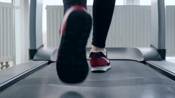 Noha osoba jít na běžecký pás ve fitness klubu — Stock video