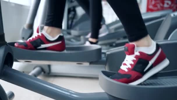 Pessoas executa exercício em treinadores elípticos em esportes Complexo — Vídeo de Stock