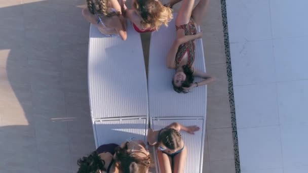 Resort de verano, grupo de chicas atractivas en traje de baño tumbarse turnos en la silla de cubierta cerca de la piscina — Vídeo de stock