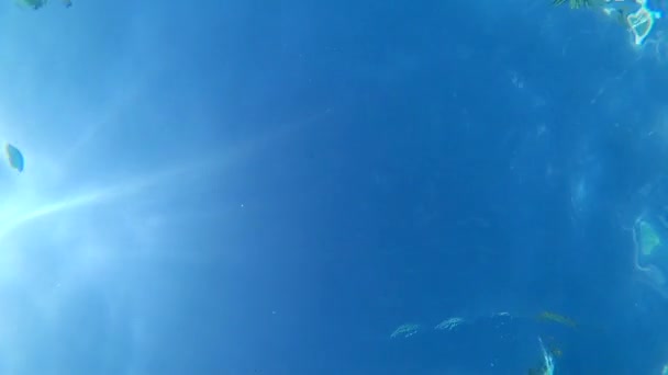 Slender girlfriends are swimming in pool, view from below is against sky — Stock Video