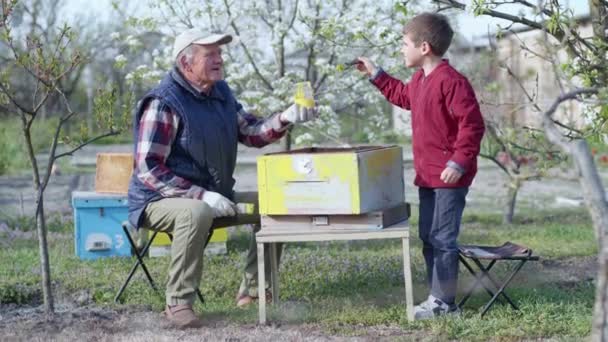 Ijverige mannelijke kind schildert een oude vervallen bijenkorf met gelukkige grootvader met een verf met behulp van een borstel — Stockvideo