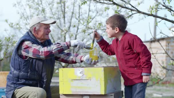 Família amigável, um menino alegre, juntamente com seu avô idoso restaurar colmeia velha com um pincel e pintura — Vídeo de Stock