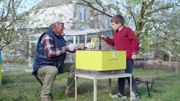 Älterer männlicher Imker mit fleißigem Enkel bemalt mit Farbe und Pinsel einen Bienenstock aus Holz, um ein Bienenhaus für die Sommersaison vorzubereiten — Stockvideo