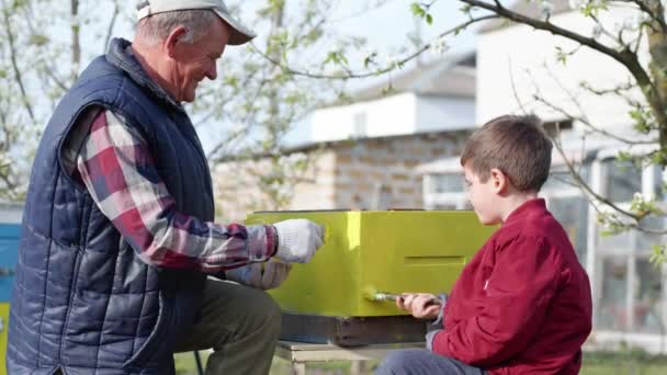 Familia apicultora un anciano y un niño varón trabajan en un colmenar, preparan colmenas para la temporada de verano pintándolas con un pincel — Vídeo de stock