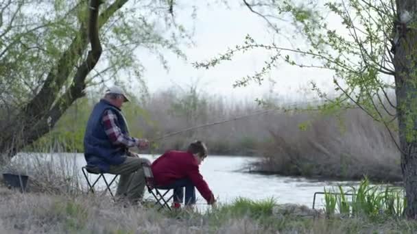 Bejaarde mannelijke visser en zijn geliefde kleinzoon vingen kleine visjes met hengel in vijver — Stockvideo