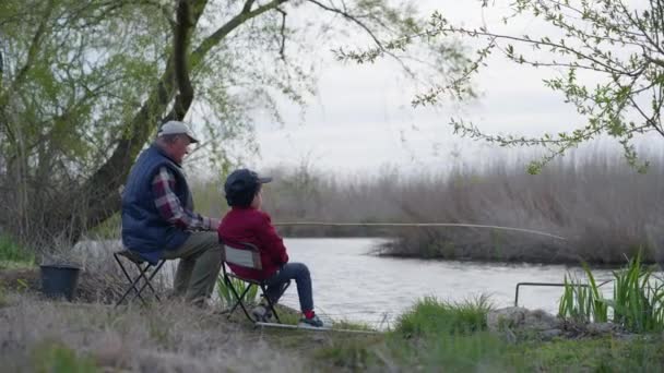 Рибалки, літній чоловік і його онук в капелюхах сидять біля берега і рибалять дрібну рибу з вудкою в річці на тлі дерев і очерету в теплий день — стокове відео