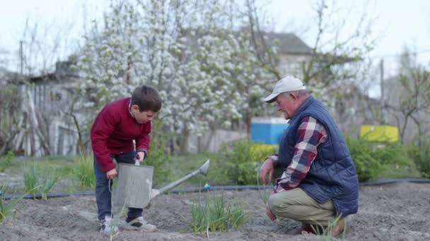 Oudere boer leert geliefde kleinzoon om verse planten water te geven met een gieter — Stockvideo