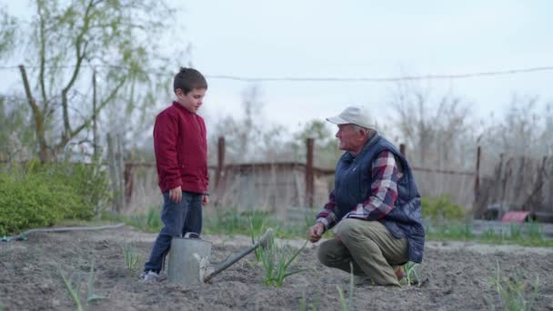 Tuinieren, een oude mannelijke boer, samen met zijn kleinzoon, water jonge plant uit gieter — Stockvideo