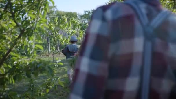 Paseo en familia, amistosos parientes alegres nieto con abuelos en un sombrero de paja y una cesta de picnic en sus manos van en un jardín verde para un picnic entre los árboles — Vídeos de Stock