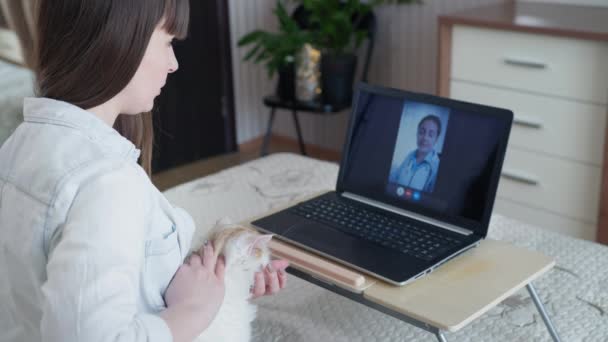 Fille attentionnée propriétaire de son animal de compagnie s'inquiète de l'état de santé du chat, consulte un vétérinaire en ligne — Video