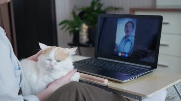Weterynarz online, młoda opiekuńcza kobieta ze swoim ukochanym kotem komunikuje się z weterynarzem za pomocą nowoczesnej technologii kamery internetowej na laptopie — Wideo stockowe