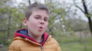 Böcek ısırığı, küçük cesur bir çocuk bal toplamak için bal arısının yüzüne oturdu.