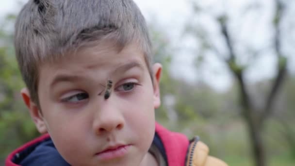 entreprise biologique, gai garçon courageux joue dans le rucher avec une abeille sur le visage et n'a pas peur d'une piqûre d'insecte