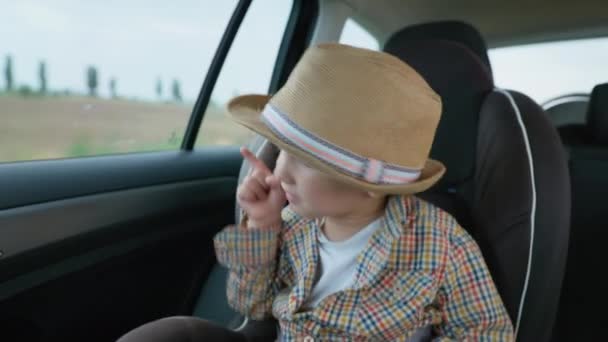 Utazó gyerekek, egy vonzó kis hím gyermek élvezi lovagolni autós ülés és kinézett az ablakon a nyári autós utazás, — Stock videók