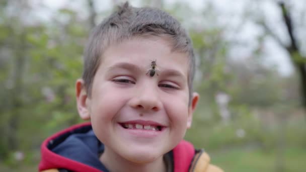 Apicoltura, piccolo coraggioso ragazzo apicoltore sorride con l'ape miele sul viso da alveare — Video Stock