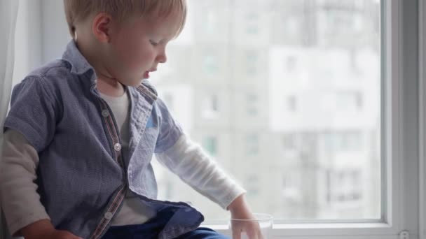 Dips his hand in glass cup with clear water, small boy explores world and touches aqua in glass with fingers — Stock Video