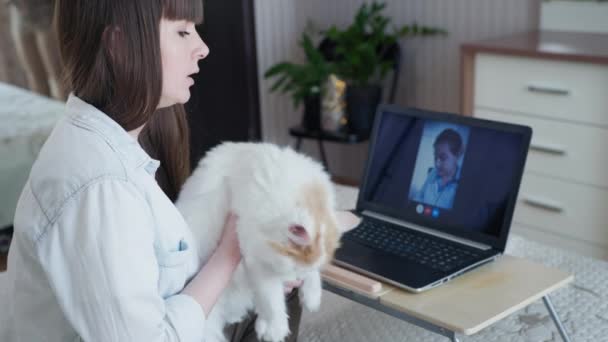 Çevrimiçi veteriner, genç aşık kız sevgili tüylü kedisinin dizüstü bilgisayarında oturmasının sağlık durumu hakkında veterinerle iletişim kuruyor. — Stok video