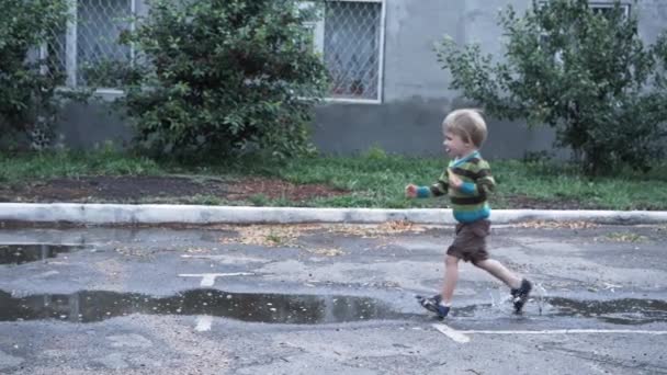 Fröhlicher gesunder kleiner Junge, der nach Regen oder starkem Regen am Sommerwochenende im Freien spielt und durch Pfützen rennt — Stockvideo