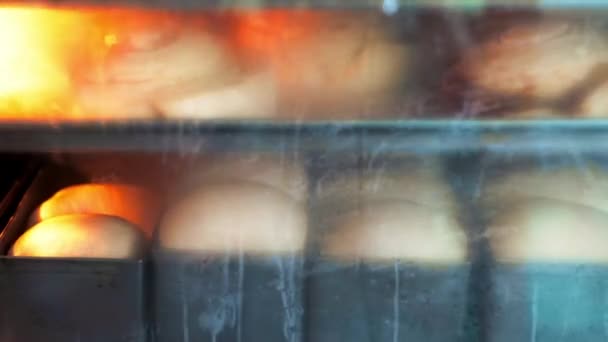 Proces van het bakken van verse gist deeg in hamburger broodjes in de oven, time lapse beelden van het koken — Stockvideo