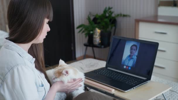 Consultation of a veterinarian, caring girl loving her pet cat at veterinarians reception online using webcam on computer — Stock Video