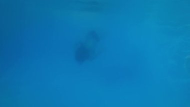 Mayolu kız su altında yüzüyor lüks bir tatil köyünde, su altında çekim yapıyor.