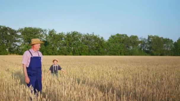 Γεωργοκτηνοτροφία, αρσενικό παιδί τρέχει να αγκαλιάσει τον ηλικιωμένο παππού του αγρότη φορώντας καπέλο κρατώντας αυτιά σιταριού ενώ περπατούσε στον αγρό σιταριού — Αρχείο Βίντεο