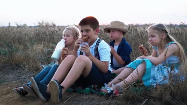 Правильне і природне харчування на відкритому повітрі, голодні хлопчики і дівчатка п'ють молоко і воду з келихів, їдять круасани, що сидять на площині на заході сонця на пшеничному полі — стокове відео