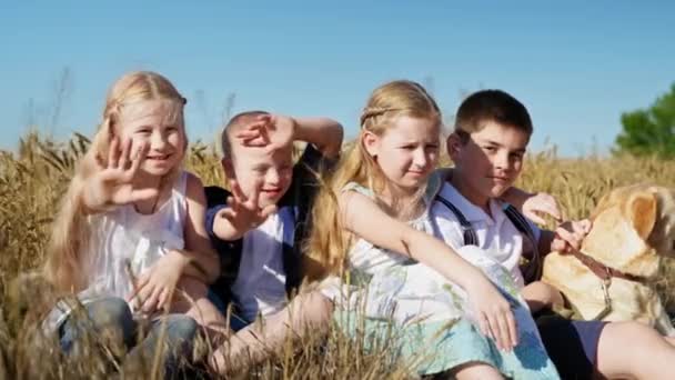 Masa kanak-kanak yang bahagia, potret anak-anak yang sehat dan anak laki-laki dengan sindrom down dengan anjing di ladang gandum dengan latar langit biru yang indah — Stok Video