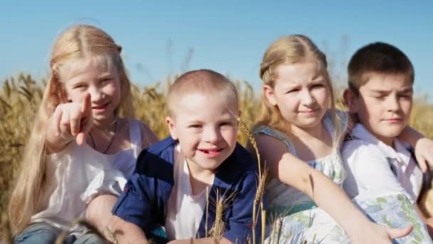 Down sendromlu çocuk ve sağlıklı çocuklar parmaklarını kameraya gösteriyor ve gülümsüyor, neşeli arkadaşlar buğday tarlasında oturuyorlar güzel mavi gökyüzünün arka planında. — Stok video