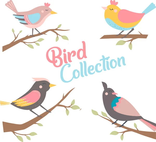 Kolorowe Kolekcje Ptaków Ilustracja Wektor — Wektor stockowy