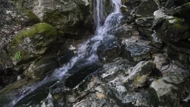 Cascada Agua Dulce Pura Bosque — Vídeo de stock