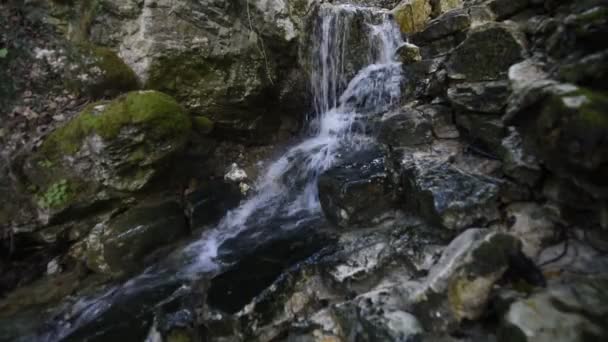 chute d'eau douce pure dans la forêt