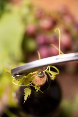 Tirbuşon bir şişe kırmızı şarap, yakın çekim