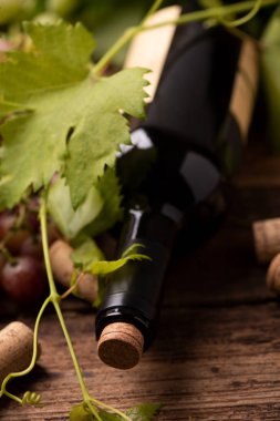 ahşap masa üstünde kırmızı şarap şişe