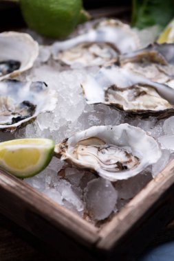 Kırılmış buz üzerinde istiridye yakın çekim 