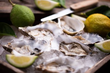 Kırılmış buz üzerinde istiridye yakın çekim 